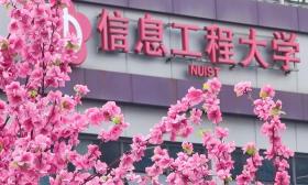 南信大首届“百花·双创节”即将开幕，校园面向社会持续开放一个月