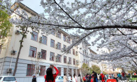 邂逅一场书香与云霞的浪漫相遇！南京林业大学对社会公众开放赏樱