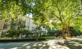 北京林业大学2022届毕业生就业报告发布，近两成选择基层就业