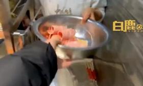 学生自带秤复称食堂麻辣香锅被拒，“不要就拉倒”