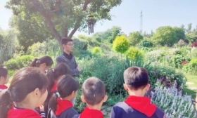 西麓中心小学：劳动创造美 实践促成长