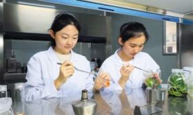 做好校内科学教育，为学生“埋下”科学种子