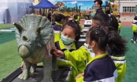 遵循新课标、搭建独有课程体系，北京自然博物馆的科学教育探索