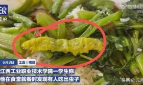 鼠头鸭脖高校又吃出“大青虫”：同一个食堂，不在一个窗口