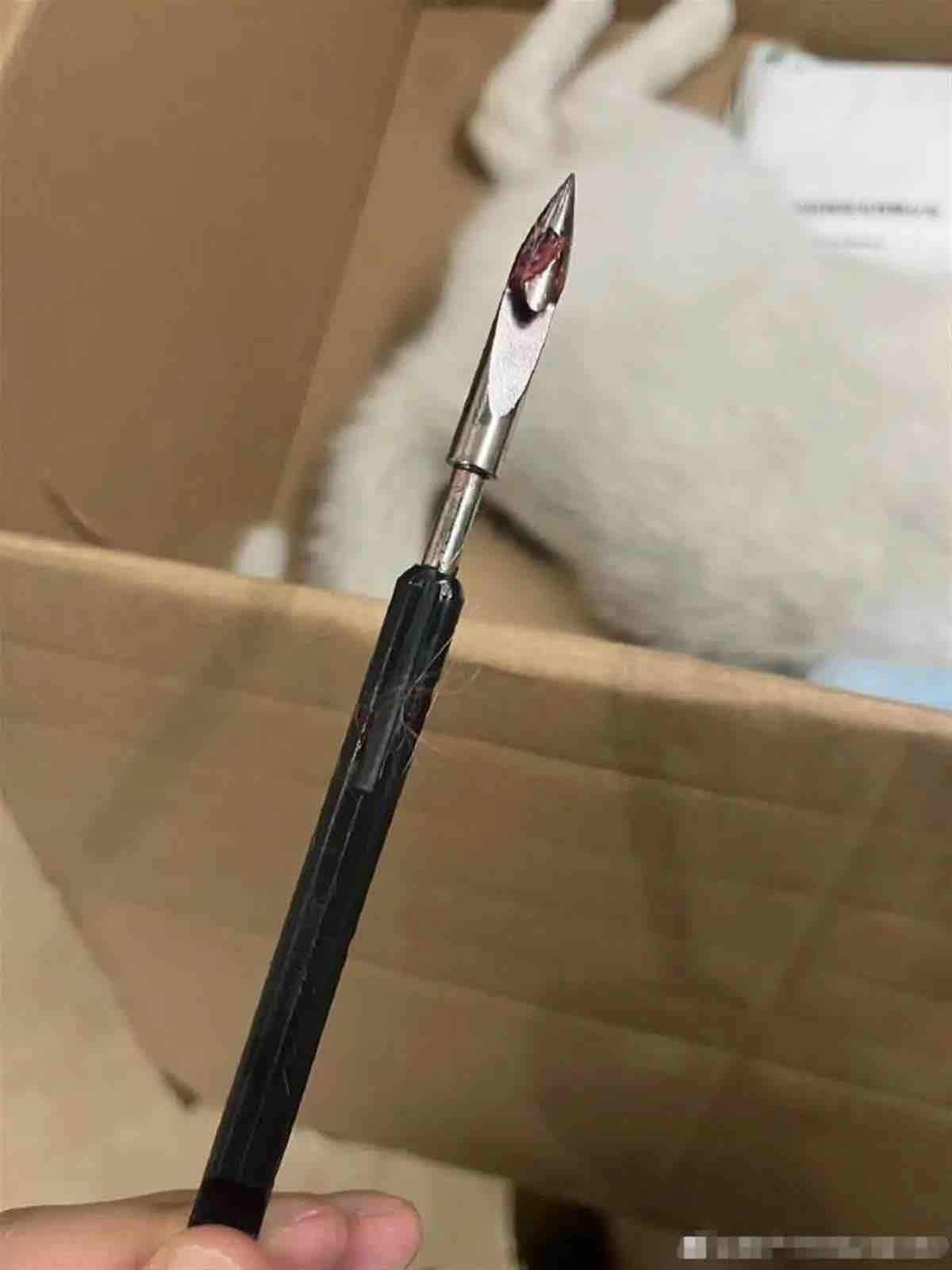 南京网络教育小说,欢乐颂小说,天下 高月 小说