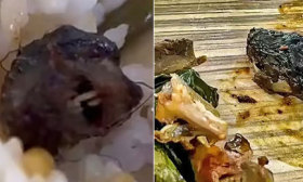 “鼠头鸭脖”涉事企业被解约，母公司经营全国700多个高校食堂