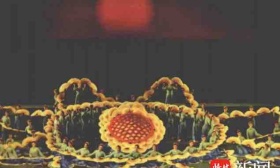 这个暑假，南财学子寻访音乐舞蹈史诗《东方红》背后的故事