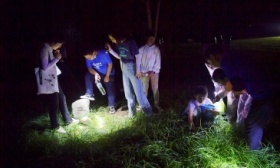 找刺猬、看蜻蜓，30名小学生在北京市少年宫“夜游植物园”