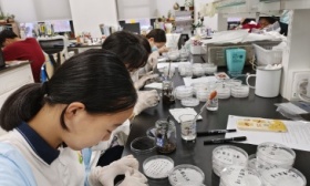 副教授带队、进入高校实验室，北京中学生近距离探索农业科学奥秘