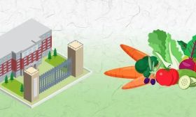 学校食堂“明厨亮灶”覆盖率力争达到100%！5部门开展集中用餐单位食品安全问题专项治理
