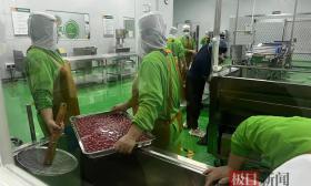 中小学引进中央厨房配餐，家长吐槽配送不及时还不合胃