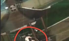 山东某职业大学曝大瓜，59秒不雅视频流出，凉亭已成打卡胜地