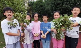 一起采花生，感受收获的喜悦