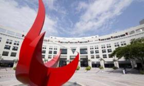 港科大团队研发机器学习模型，为实施精准脑肿瘤治疗提供新方向