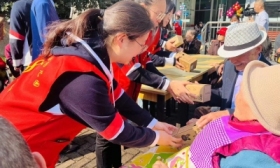 镇江市实验幼儿园绿色党小组重阳敬老