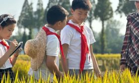 送你一张“15分钟教育圈”地图 课后服务再升级