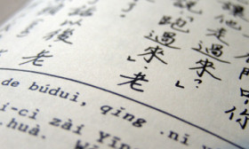 典耀中华读书行动推出，将经典阅读融入城乡15分钟品质生活圈