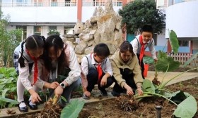 家校社同向奔赴 共筑少年科学梦