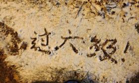 不出所料，四六级考题又上热搜！翻译题再现神题：“能听到的知识”为啥很“扎实”？