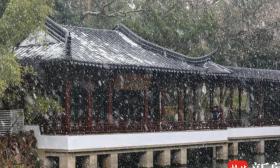 大拨雪景美图刷屏，你却只会说“雪下得认真”？