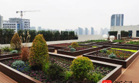 南工大在校园屋顶造了一座“花园”，为师生开辟美育教学新基地