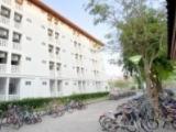 官方明确：学生宿舍缺口大的高校，原则上不得新增招生指标