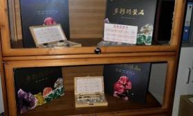 别样地质科普，中石大师生将助力乡村学校建“小小地质博物馆”