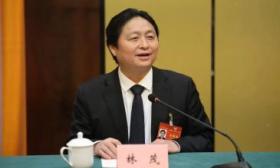 全国政协委员林茂：建议推进“双一流”美术院校与AI机构合作