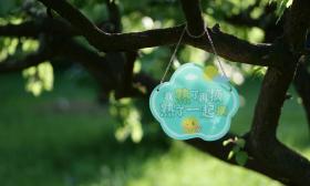 南信大“神仙许愿池”走红，师生暖心问答火爆全网