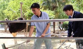 “润心”在行动②｜校家社协同，为孩子心房洒满阳光