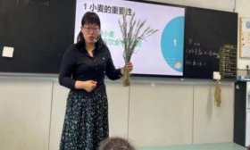来之不易的小麦