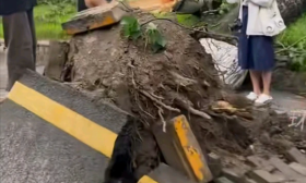 北京骤雨大风，清华大学多棵巨树被刮倒，居然成了网红打卡点，人们纷纷驻足合影拍照！