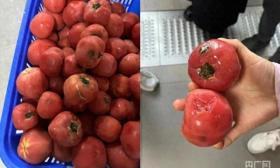 12元餐标的学生餐被指用腐烂食材，还“肉很少”？教育局回应！