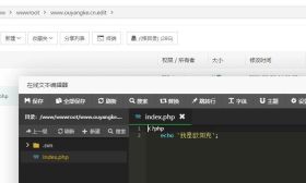 linux CentOS 宝塔面板 svn 安装与使用【图文教程】
