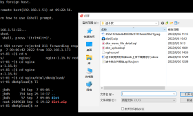 Linux命令rz上傳和sz下載