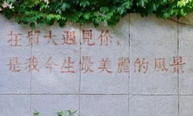 對外經濟貿易大學2024在蘇招生政策