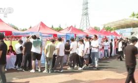 多地人社部门多渠道搭建校企交流平台 推动供需精准匹配促就业