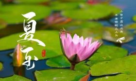 夏至已至，未来可期