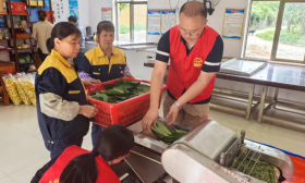 助力广西金花茶种植，南林师生谱写乡村振兴新篇章
