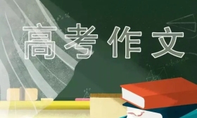 高考作文的文学答案