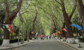 北语两千余中外学子毕业，校长段鹏寄语毕业生们“放眼世界”