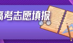 2024年高考志愿填報熱點問題（四）