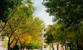 多少分能上魯東大學？