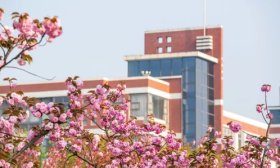 計劃增加750人，山東外貿職業學院招生熱點問答看這里！