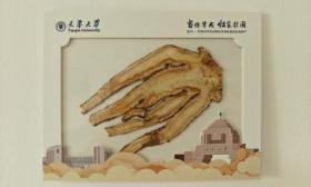天津大学首封本科生录取通知书签发，内含定点帮扶县的“当归”