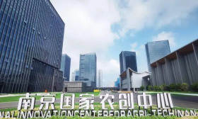 南京农创园科创投资集团有限公司2024年公开招聘1名人员简章