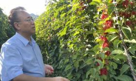 躬耕教坛，坚守初心，首都教师用行动演绎“教育家精神”