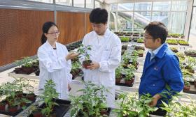 南林大团队研发减药助剂，可助农作物降本又增产
