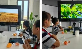 守护生态之美！济南高新区科创路学校开展“全国生态日”活动