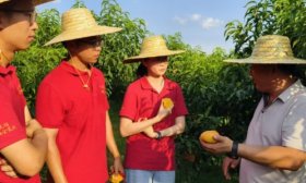 将青春写在祖国大地｜沂蒙革命老区来了一群“新人”主播